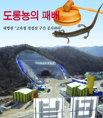 도롱뇽의 패배
