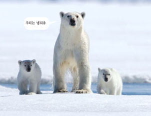 자원의 보고, 북극을 잡아라!