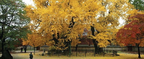 2008학년도 수시 2학기 특집: 대학별고사 준비④