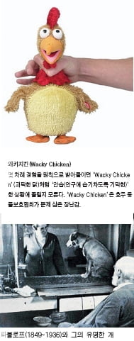 (31) 인과(因果)론을 의심하라