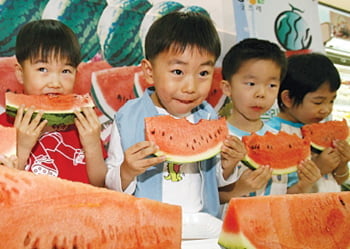 22. 왜 수박을 낱개가 아니라 쪼개서 포장해 팔까?