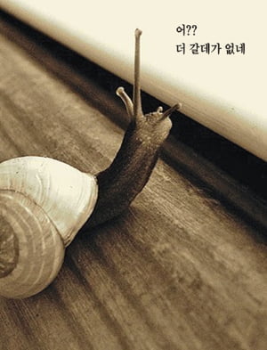 기근…자원고갈…인류, 성장의 한계 직면하나