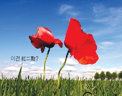 우리말에도 性이 있다 ③