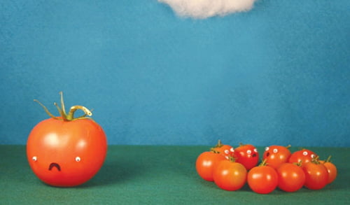 GMO…안정성 논란속 기아해결사로 급부상