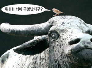 '뇌송송 구멍탁'의 위력