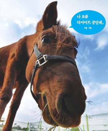 '천고마비'에 담긴 숨은 뜻