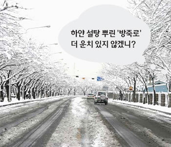 방죽은 어디가고 윤중제만…