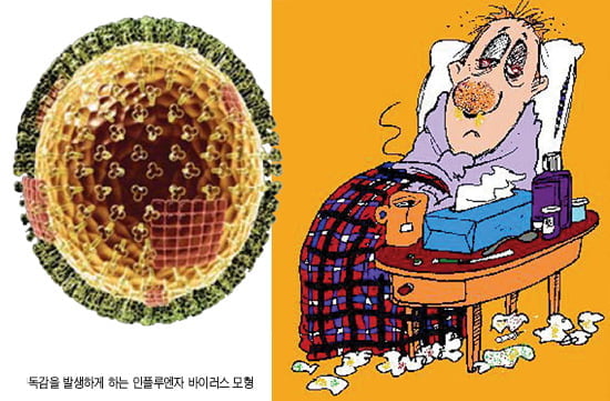 감기가 독해지면 독감 아닌가요?
