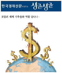 美달러 세계 기축통화 역할 끝나나…