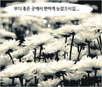 죽음을 이르는 완곡어들－"졸하셨습니다."