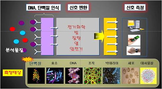 우리 몸에 침범하는 세균·바이러스의 정체 알려준다