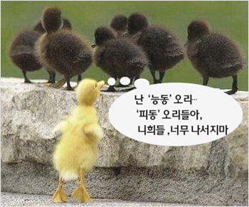 ‘피동 남발’을 경계해야 하는 이유
