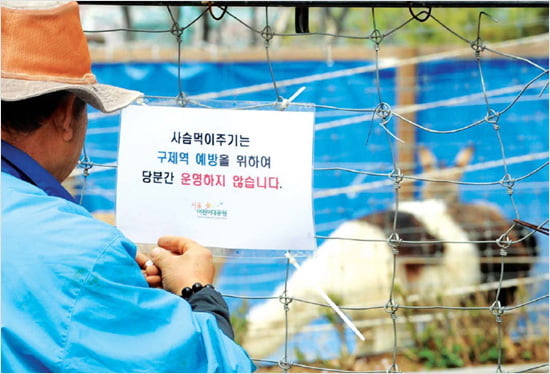 가축에 치명적인 구제역, 사람에게 전염되지는 않을까?