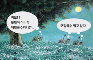 ‘모밀국수’가 ‘메밀국수’에 밀린 사연