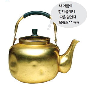 우리말의 속살 - '한자에서 온 말，한자 탈을 쓴 말'