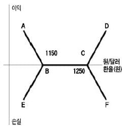 키코(KIKO) 상품의 수익 구조를 이해하고 있는가