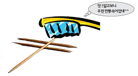 요지와 이쑤시개,양치질은 한통속