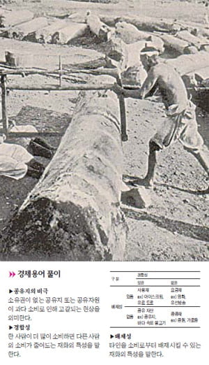 '공유지의 비극'에 대처한 조선인의 지혜