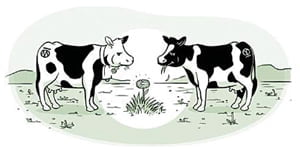 (68) “문제가 요구한 것 이외의 답은 쓰지 말 것”