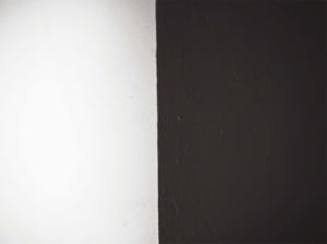 (22) 필립 로스 ‘휴먼 스테인’