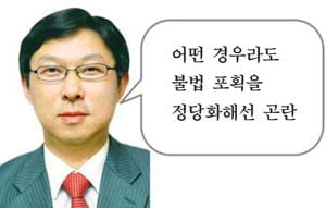 돌고래를 바다로 돌려보내야 할까요