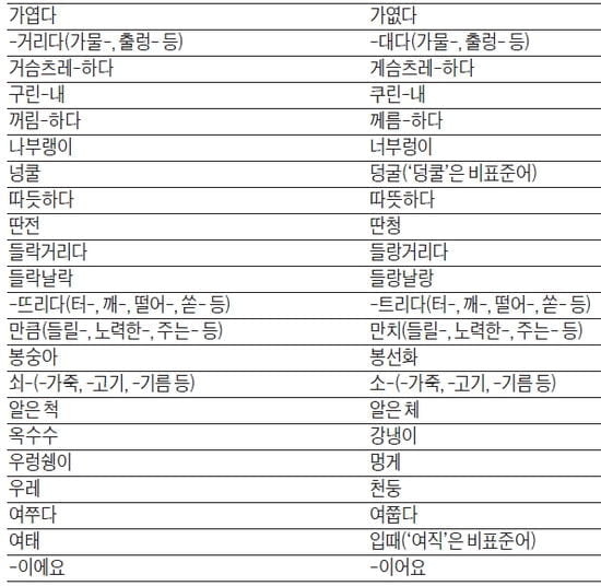<13> 유형별 공략법(ⅷ) 어문규정(맞춤법) (4)