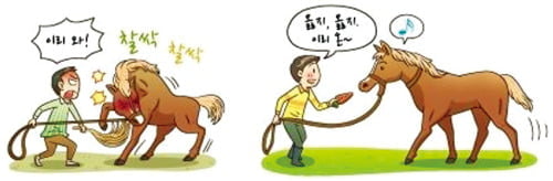 (9) '경제적 유인' 100% 활용하기