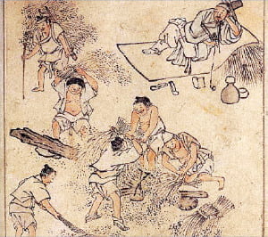 (16) 조선시대 노비의 수요와 공급