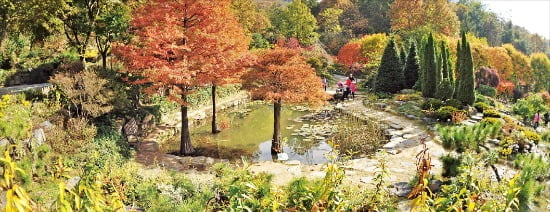 (50) '씨앗이 금보다 비싸다'는 토종식물 해설사
