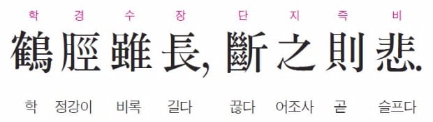 학의 다리가 길다고 그것을 짧게 잘라주면 슬퍼한다. - 장자
