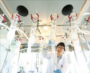 포스텍·KAIST '소수정예의 힘'