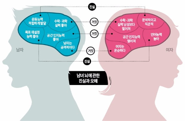 '화성남-금성녀' 차이, 뇌구조 때문? 성별보다 교육·환경이 더 큰 영향!