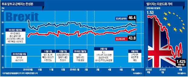영국 유럽연합(EU) 탈퇴하나?…23일 국민투표