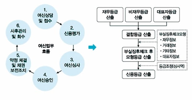 기업 신용평가는 재무적·비재무적 분석 모두 적용해야