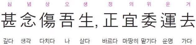 지나치게 생각하면 우리 삶이 망가지니, 마땅히 운명이 가는 대로 맡겨둬라. - 도연명 ‘형영신(形影神)’ 중