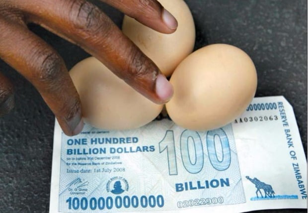 짐바브웨의 미친 물가…계란 3개에 1000억 Z$!