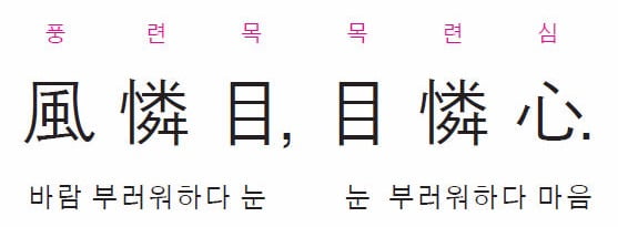바람은 눈을 부러워하고, 눈은 마음을 부러워한다 -장자-