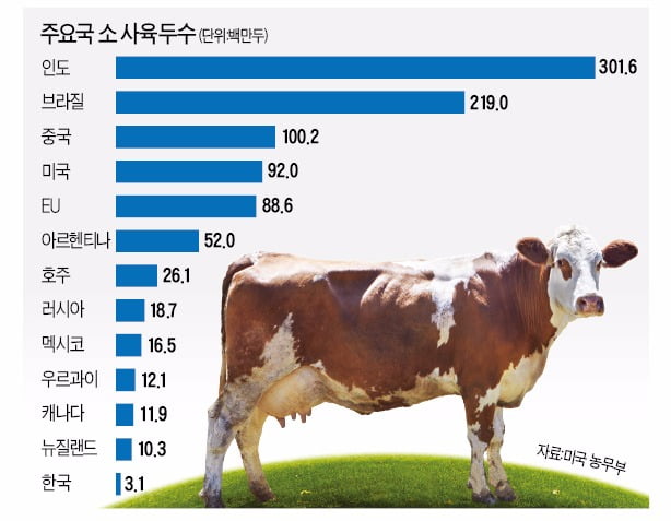 전 세계 소 10억 마리…3분의 1은 인도