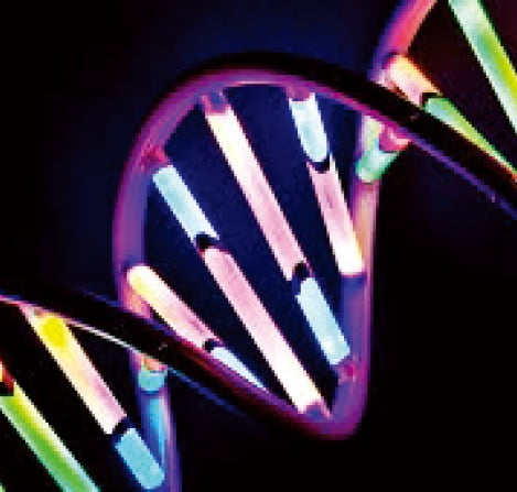 DNA
