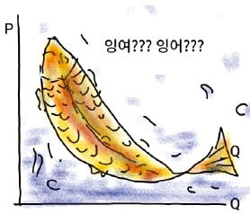 사회적 후생은 소비자 잉여와 생산자 잉여의 합… 가격이 하락하면 소비자 잉여가 증가해요