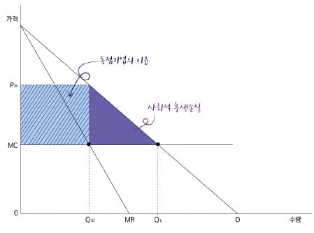 독점은 진입장벽 높여 사회적 손실 낳죠… 영원한 독점은 없고 결국 경쟁으로 가요