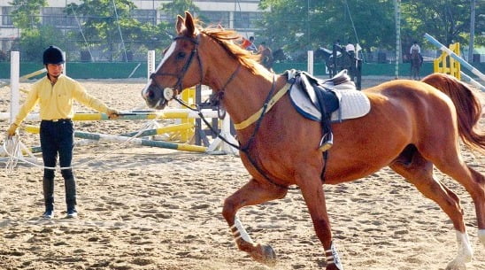 고삐는 채우는 게 아니라 채는 거죠~