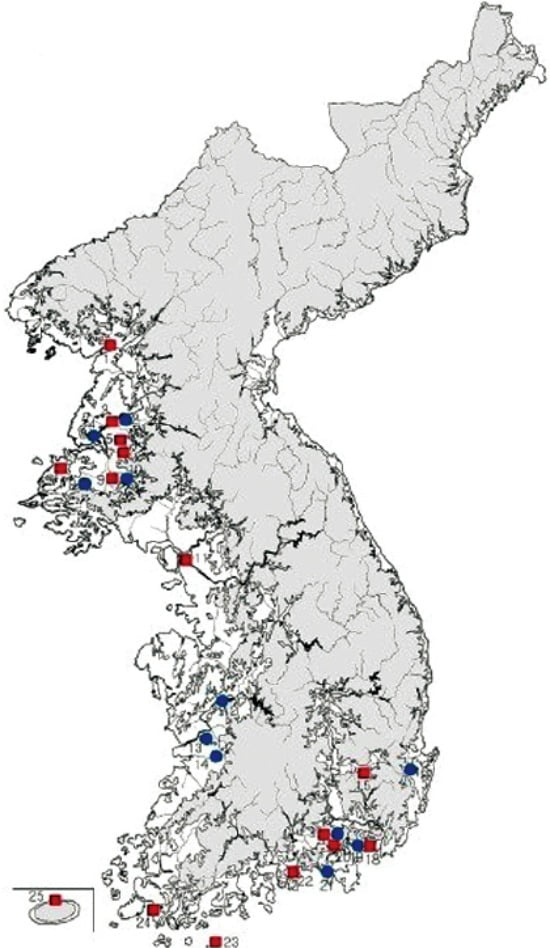 "신라로 성장하는 사로국은 6개 읍락이 결합한 것…2~5세기 한반도는 국가 이전 단계인 '족장사회'였죠"