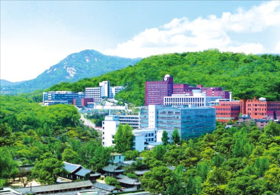 출제 유형은 그대로 유지…수능최저기준 충족해야