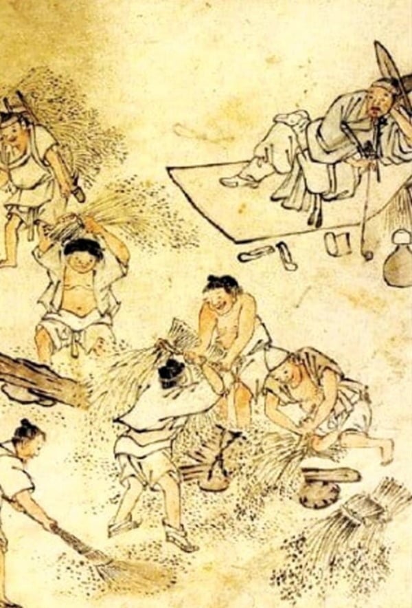 17세기 후반 이앙법 등 경작 혁신으로 자립농 늘어…노비제 해체됐지만 ‘소농경제 자립’은 20세기에나