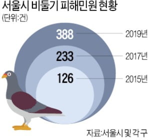 배설물·악취·소음…'민폐 비둘기' 어찌하오리까
