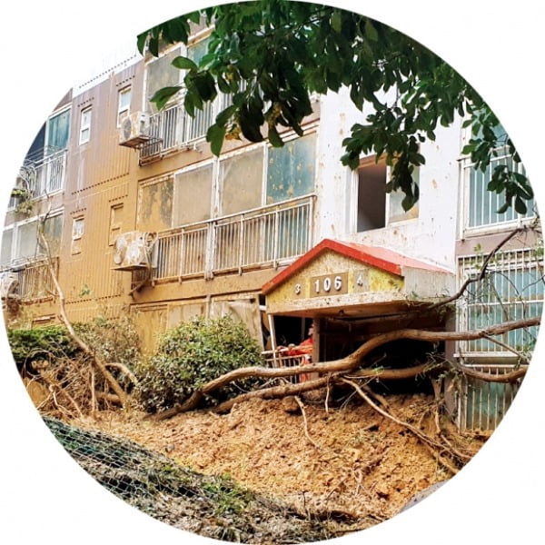 그러하지요 → 그렇죠 → 그죠/그쵸?