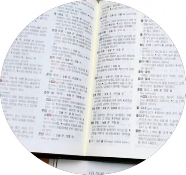 사전이 알려주는 것들 (1)