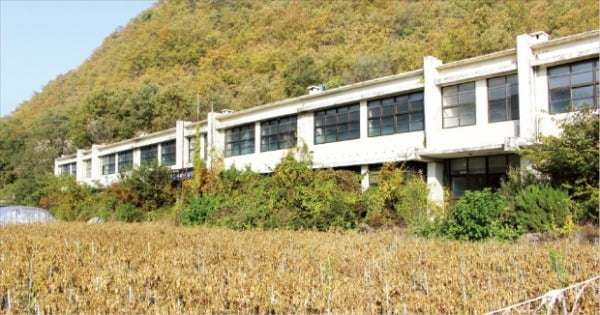 인구 감소를 견디지 못하고 결국 폐교된 경북 의성의 한 중학교 운동장에 비닐하우스와 고추밭이 들어서 있다.