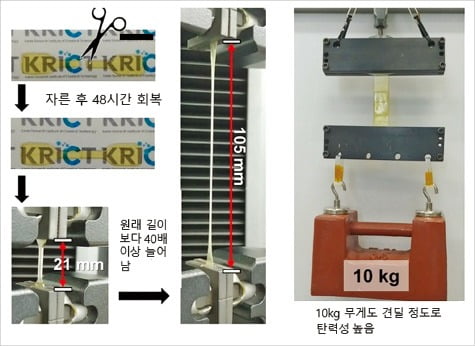 말랑해지며 상처를 스스로 메운 뒤 단단해지는 '자가치유 물질'…'구길 수 있는' 자동차와 TV의 소재로 사용 기대